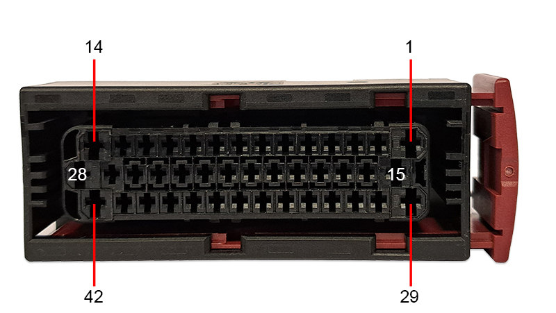 Socket side of the plug